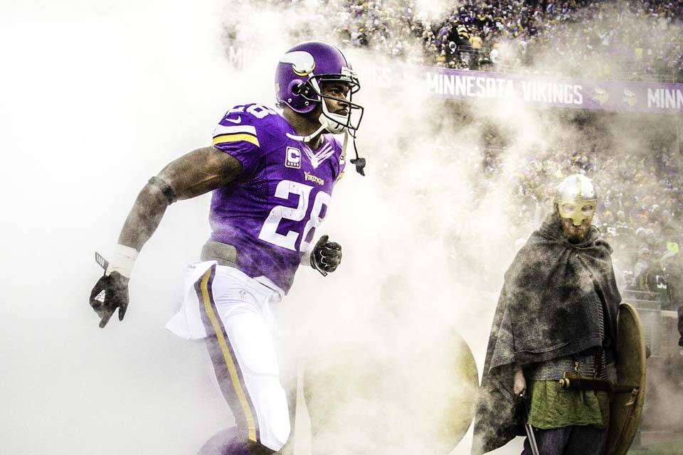 Minnesota Vikings Portrait Adrian Peterson